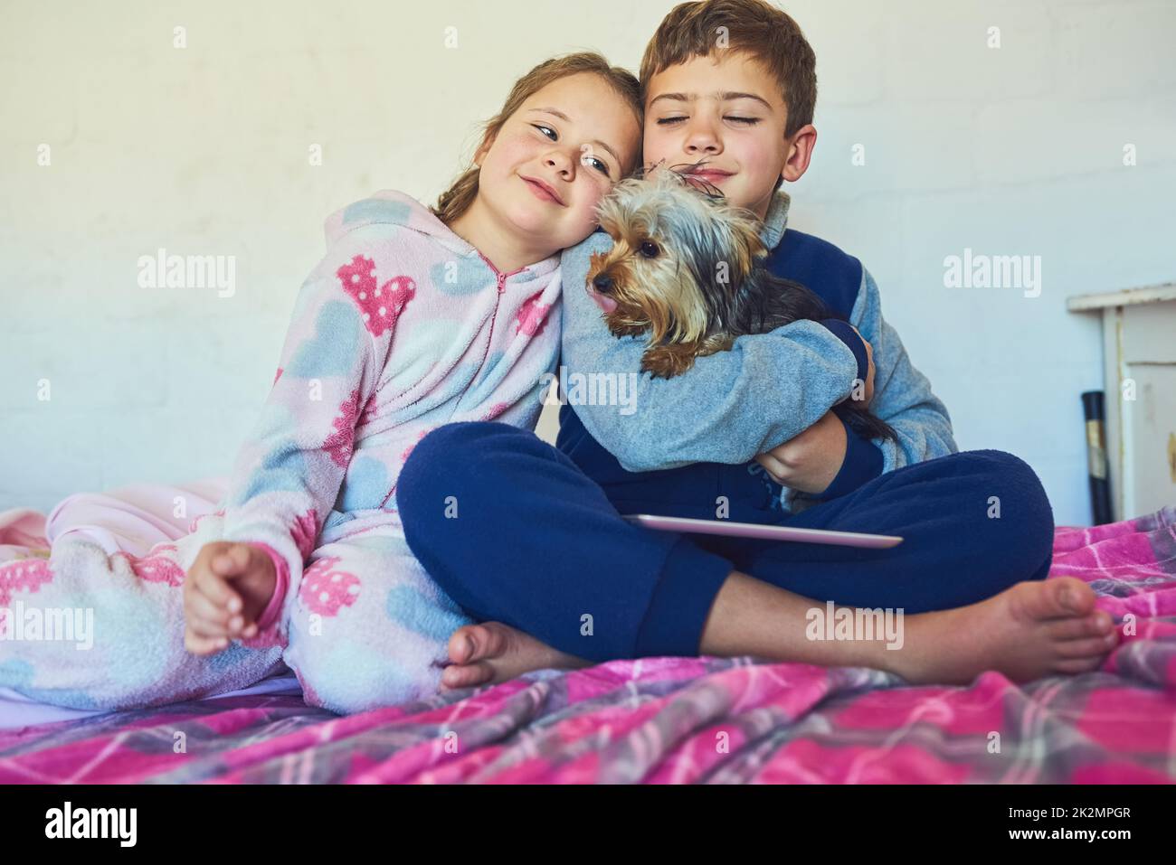 Puppy will always be our best pal. Shot of two young siblings bonding with their pet dog at home. Stock Photo