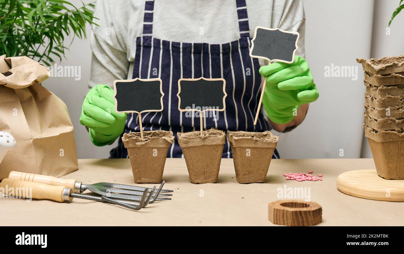 Woman at home is planting plants in a paper cup. Growing vegetables at ...