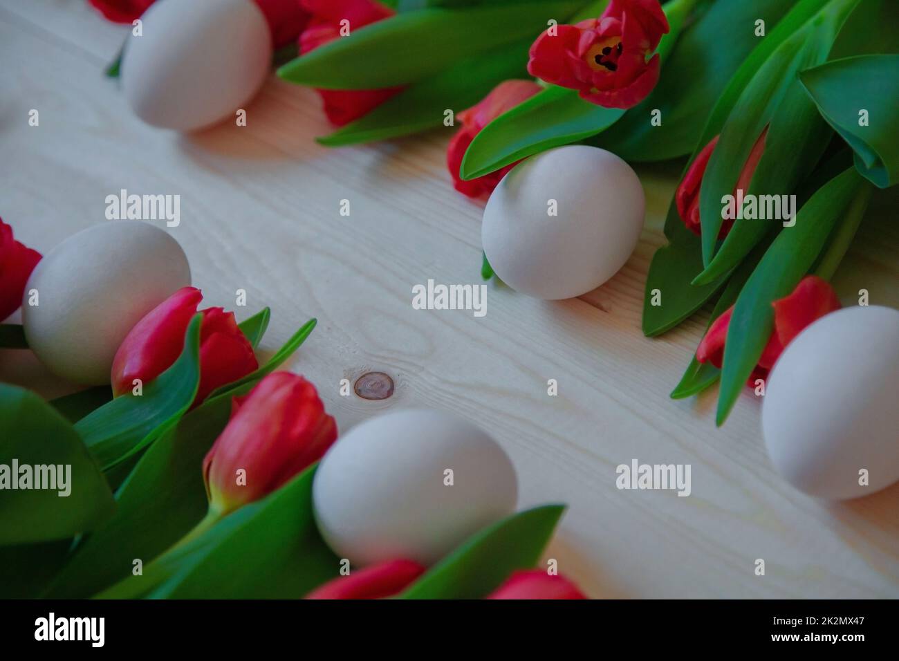 Pink tulips with green leaves lie horizontally mixed with white Easter eggs, leaving free space diagonally Stock Photo