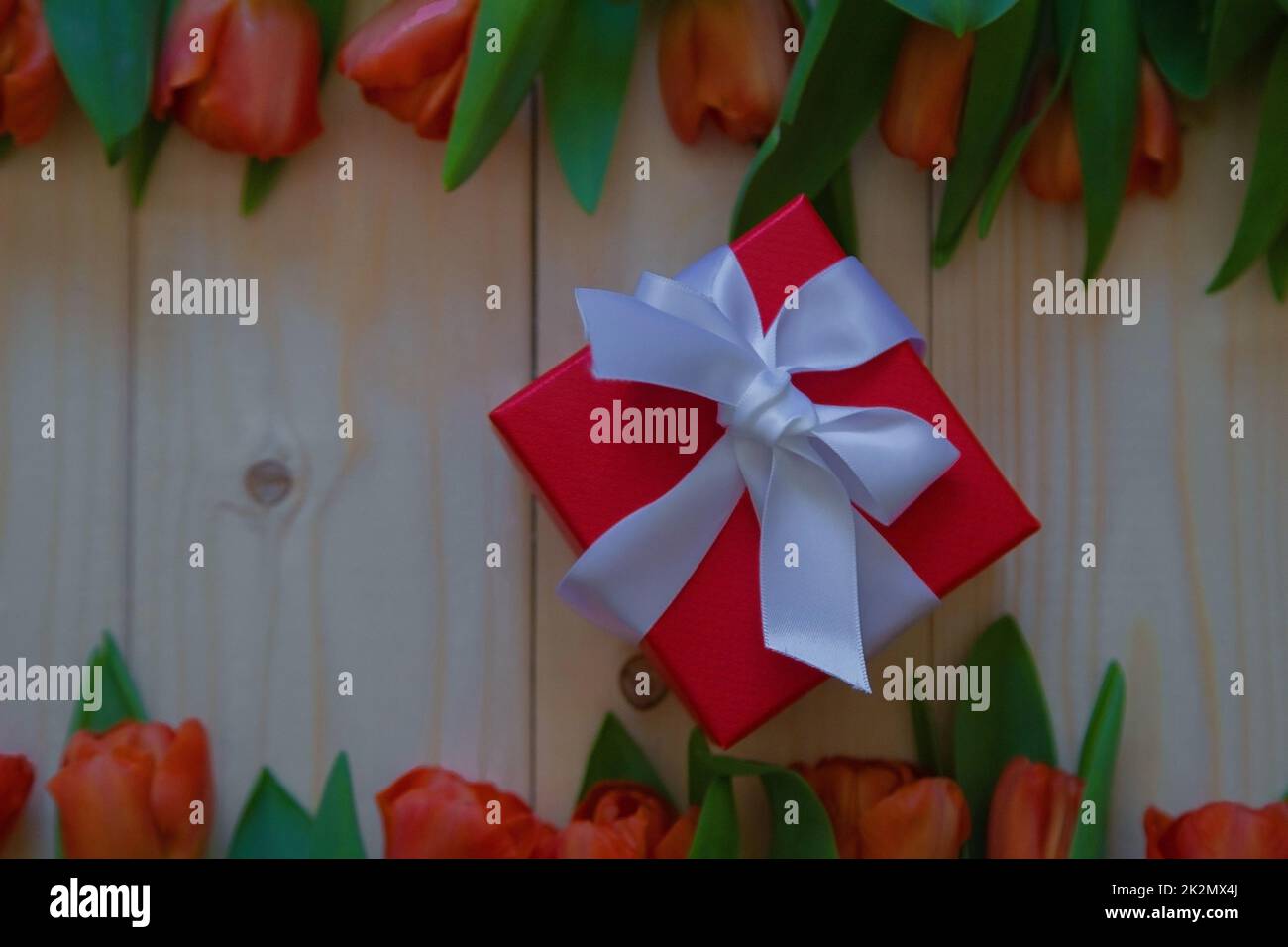 Pink tulips with green leaves lie in a row at the bottom and top on a wooden background, in the middle is a gift in a red package with a white bow. Stock Photo