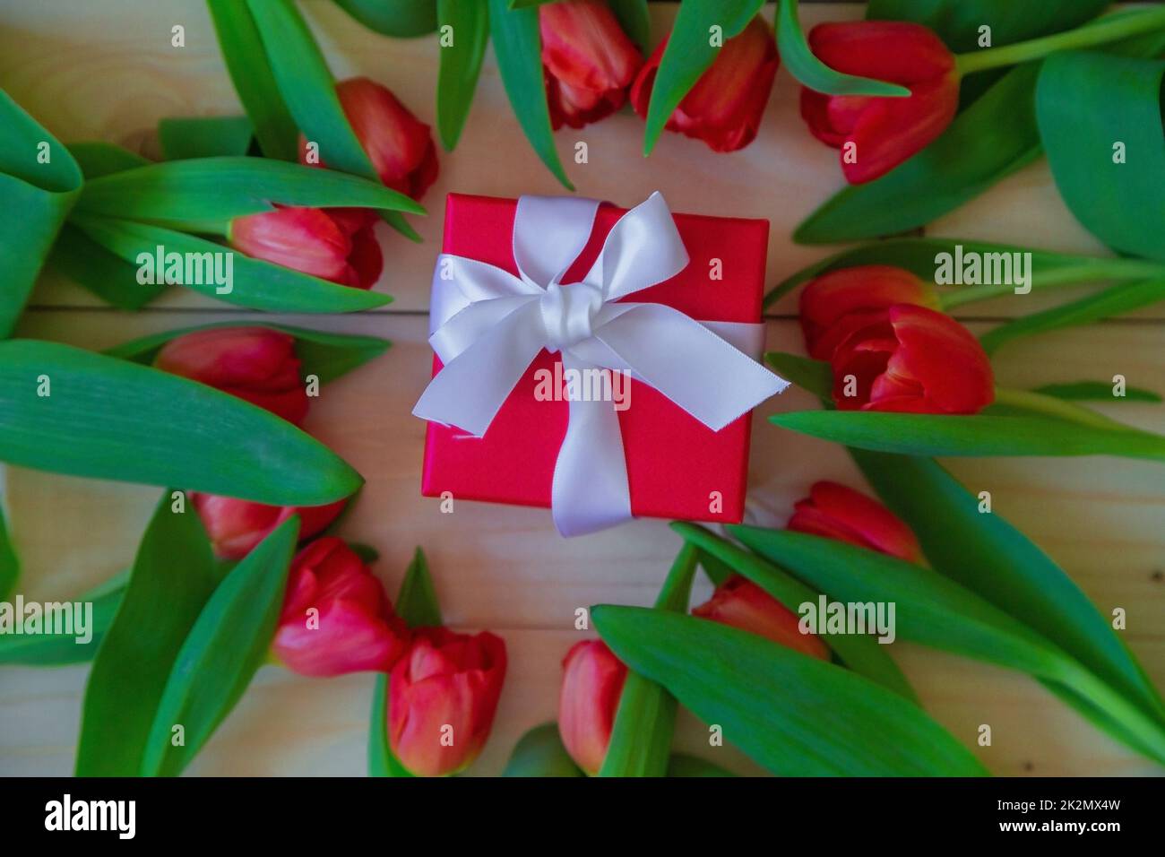 Pink tulips with green leaves lie in a circle on a wooden background, in the middle of Lesha's gift in a red package with a white bow Stock Photo
