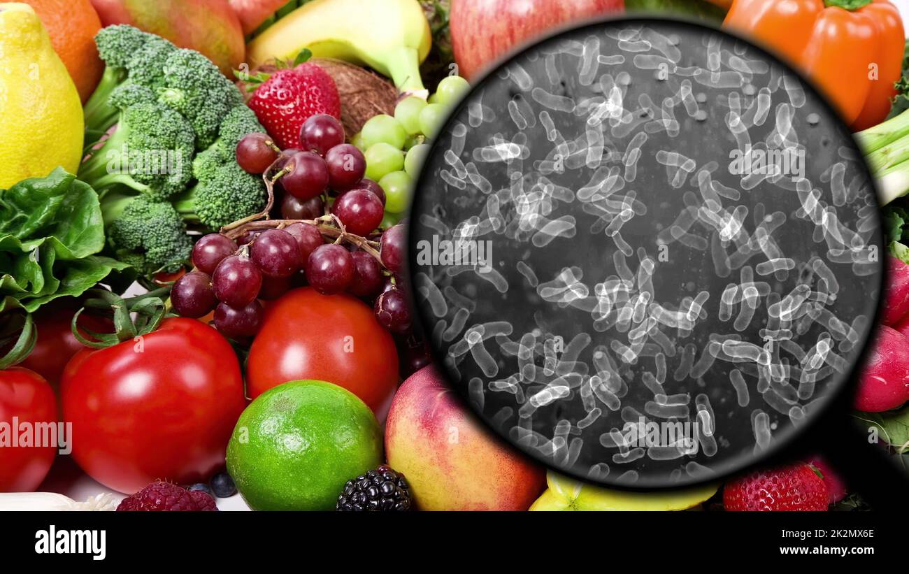 Searching for bacteria in vegetables Stock Photo Alamy
