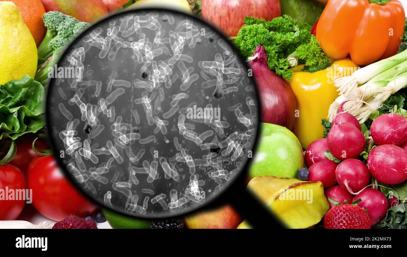 Searching for bacteria in vegetables Stock Photo Alamy