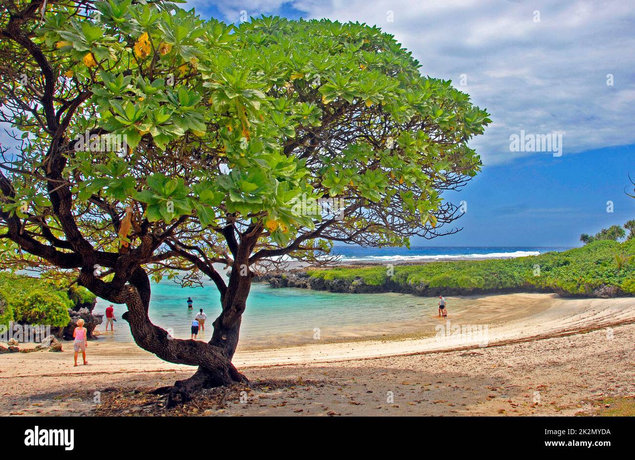 beach, Efate island, Vanuatu Stock Photo