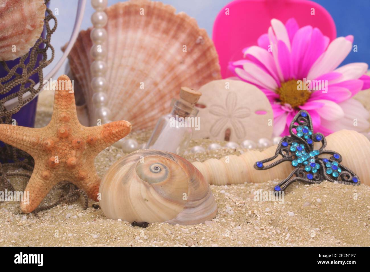 Sea Shells With Flower and Jewelry on Sandy Beach Stock Photo