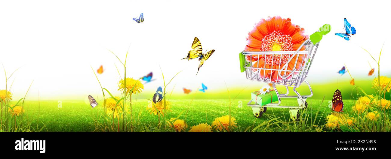 3Jours Flower Shopping Mini