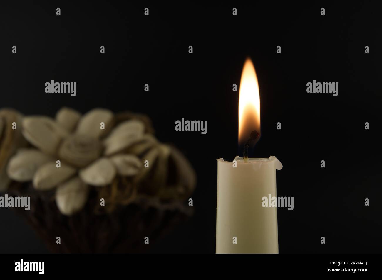 Burning candle and flowers in the darkness Stock Photo