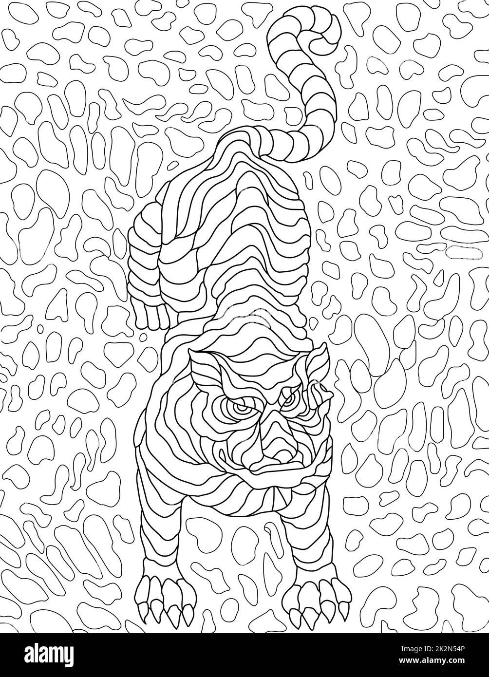 Doodle animal vector line drawing pattern circles. Digital lineart image tiger circular background. Outline artwork design feline wild cat textured lines. Stock Photo