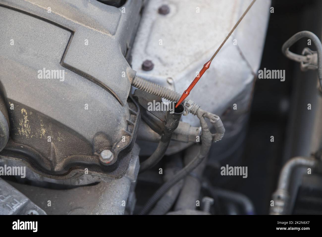 Serviceman takes out a dipstick to check the oil level in the car engine Stock Photo Alamy