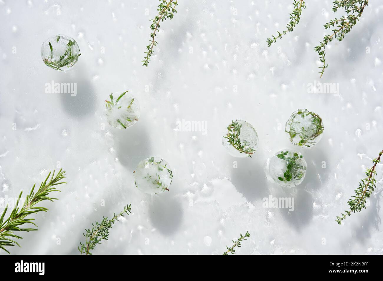 Wet off white water background with melting balls of ice with frozen herbs. Rosemary, oregano and thyme plants. Frozen plants inside pieces of ice. Di Stock Photo
