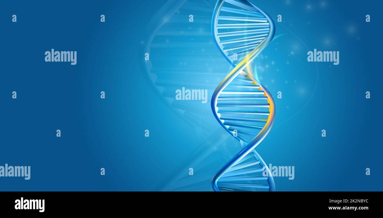 DNA double helix on a blue background Stock Photo - Alamy