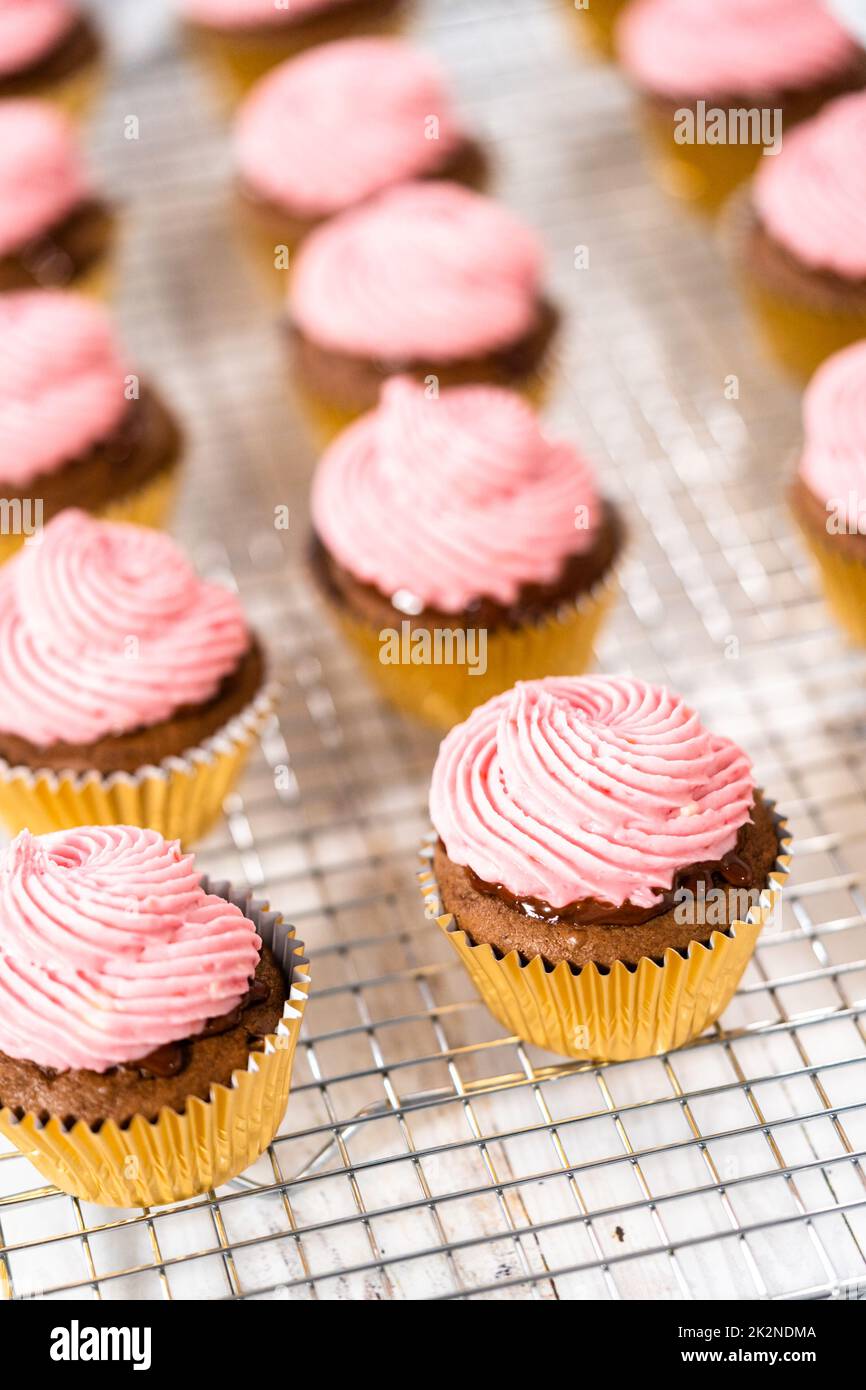 Chocolate raspberry cupcakes Stock Photo
