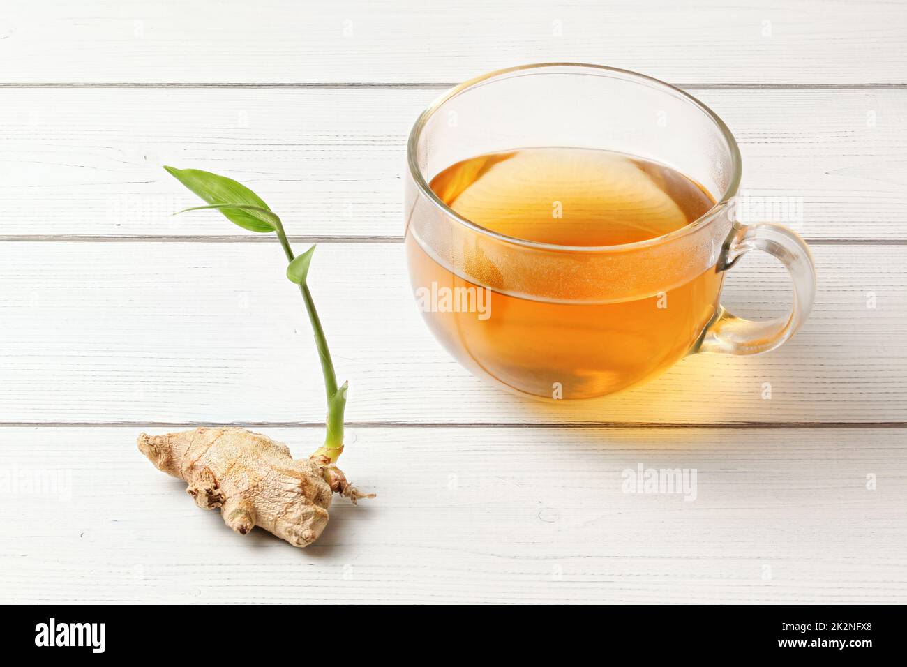Cup of freshly brewed amber tea, glass wet from steam, dry ginger root ...