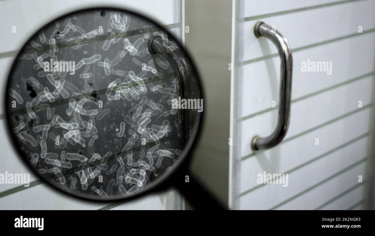 Searching for bacteria in bathroom Stock Photo Alamy
