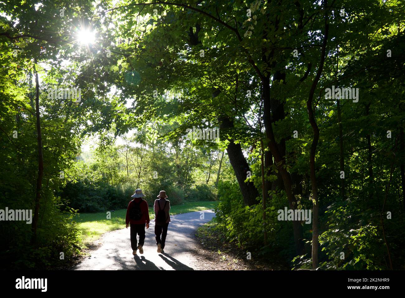 Senior adults walking  in the public park with lens flare Stock Photo