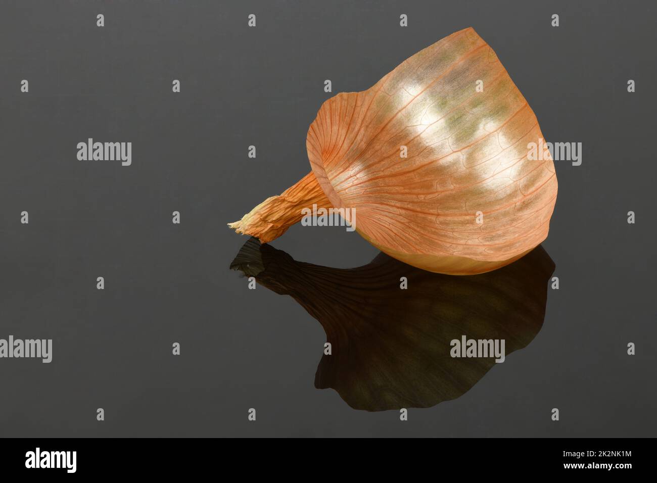 Onion peel on black acrylic background. Yellow onion peel. High