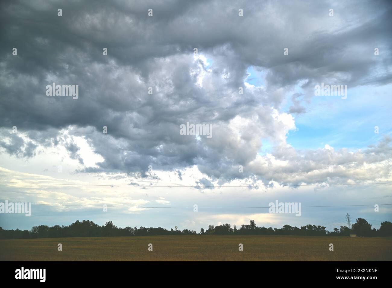 An aerial view of greenery field surrounded by trees Stock Photo - Alamy