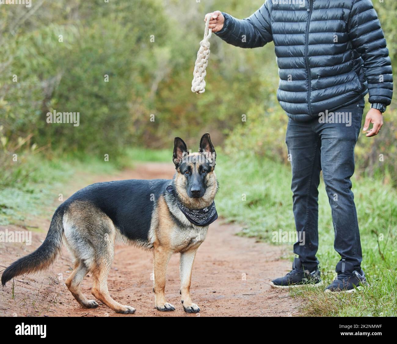 Dont just exist, wander and explore. Shot of a unrecognizable man playing with his adorable german shepherd at the park. Stock Photo
