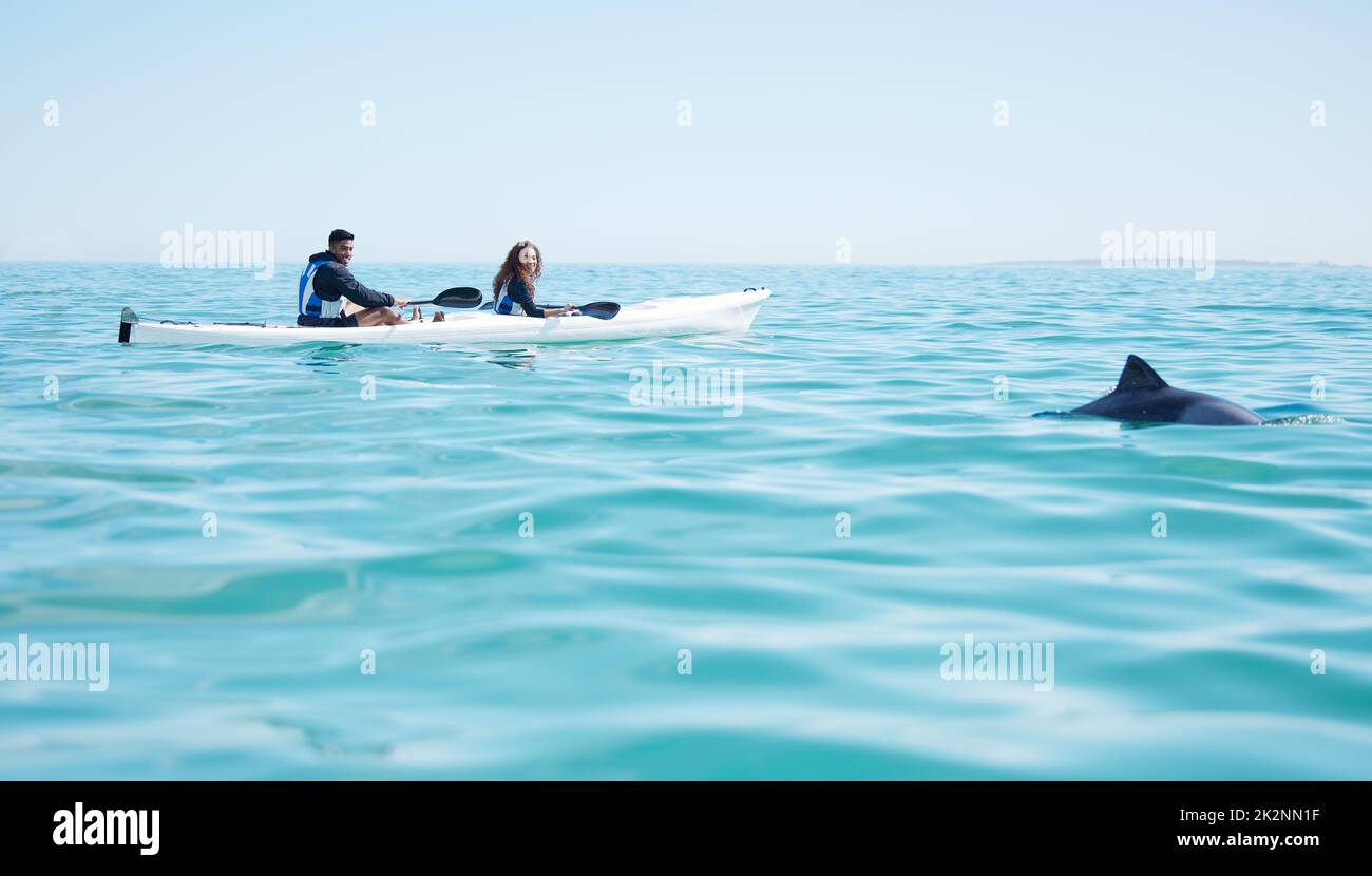They spotted something in the deep blue water. Shot of a young couple spotting a dolphin while kayaking at a lake. Stock Photo