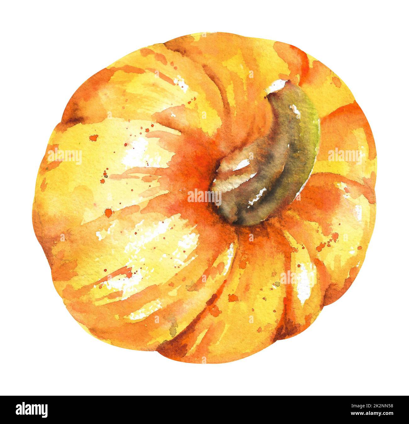 Watercolor pumpkin. A large yellow pumpkin with a stem lying on its ...
