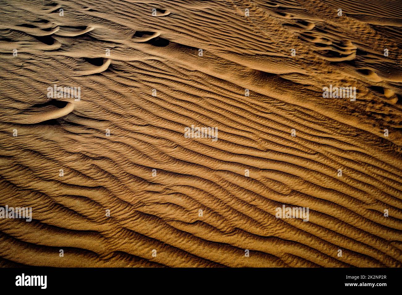 Arabian desert image Stock Photo