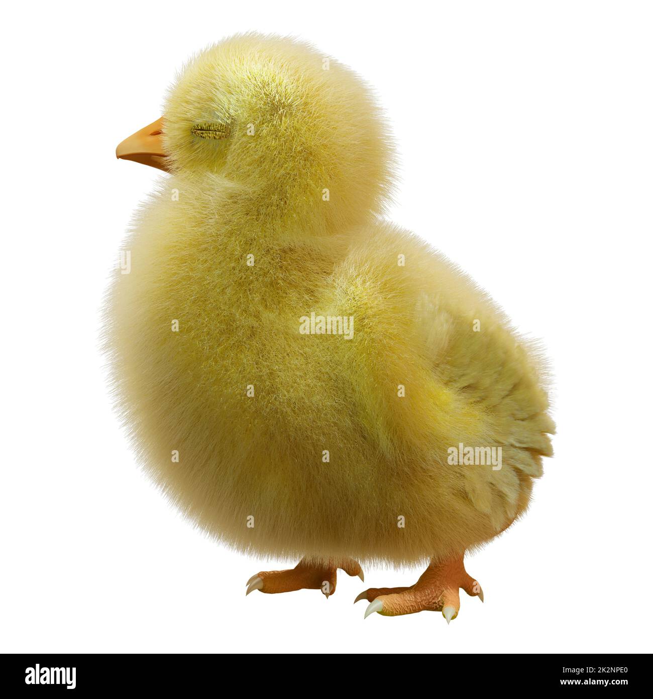 3D Rendering Easter Chick on White Stock Photo