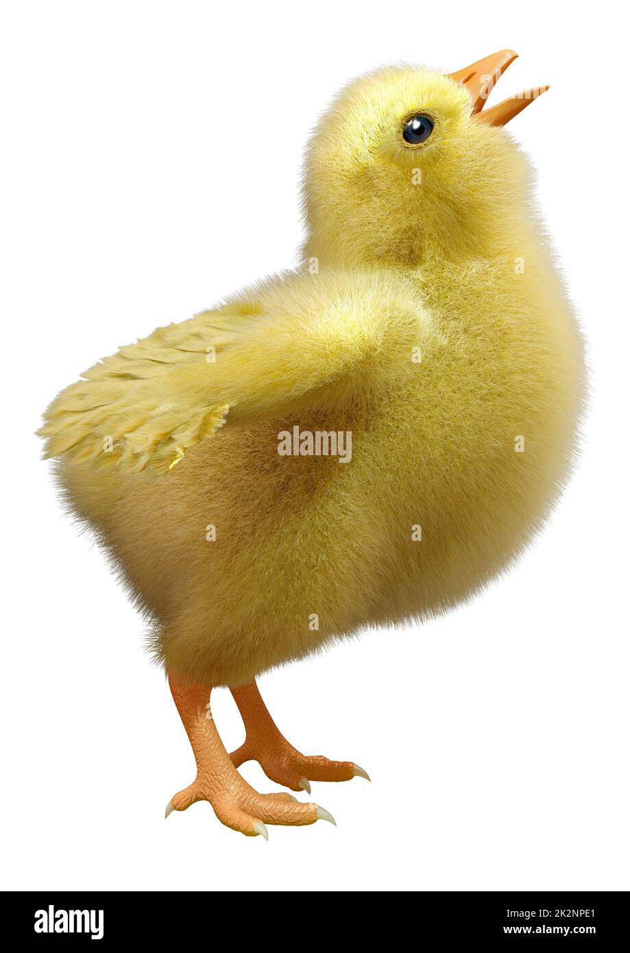 3D Rendering Easter Chick on White Stock Photo