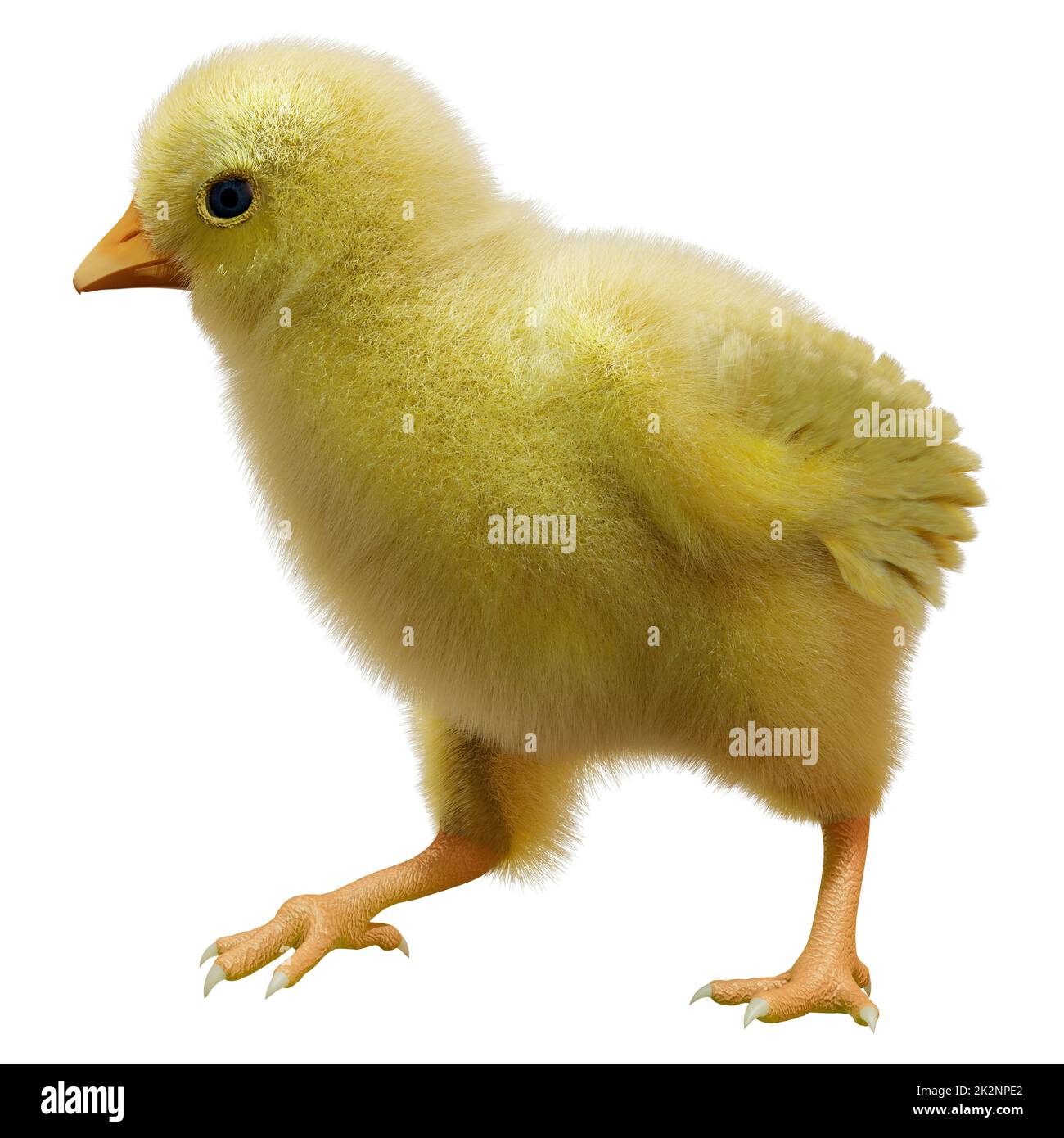 3D Rendering Easter Chick on White Stock Photo