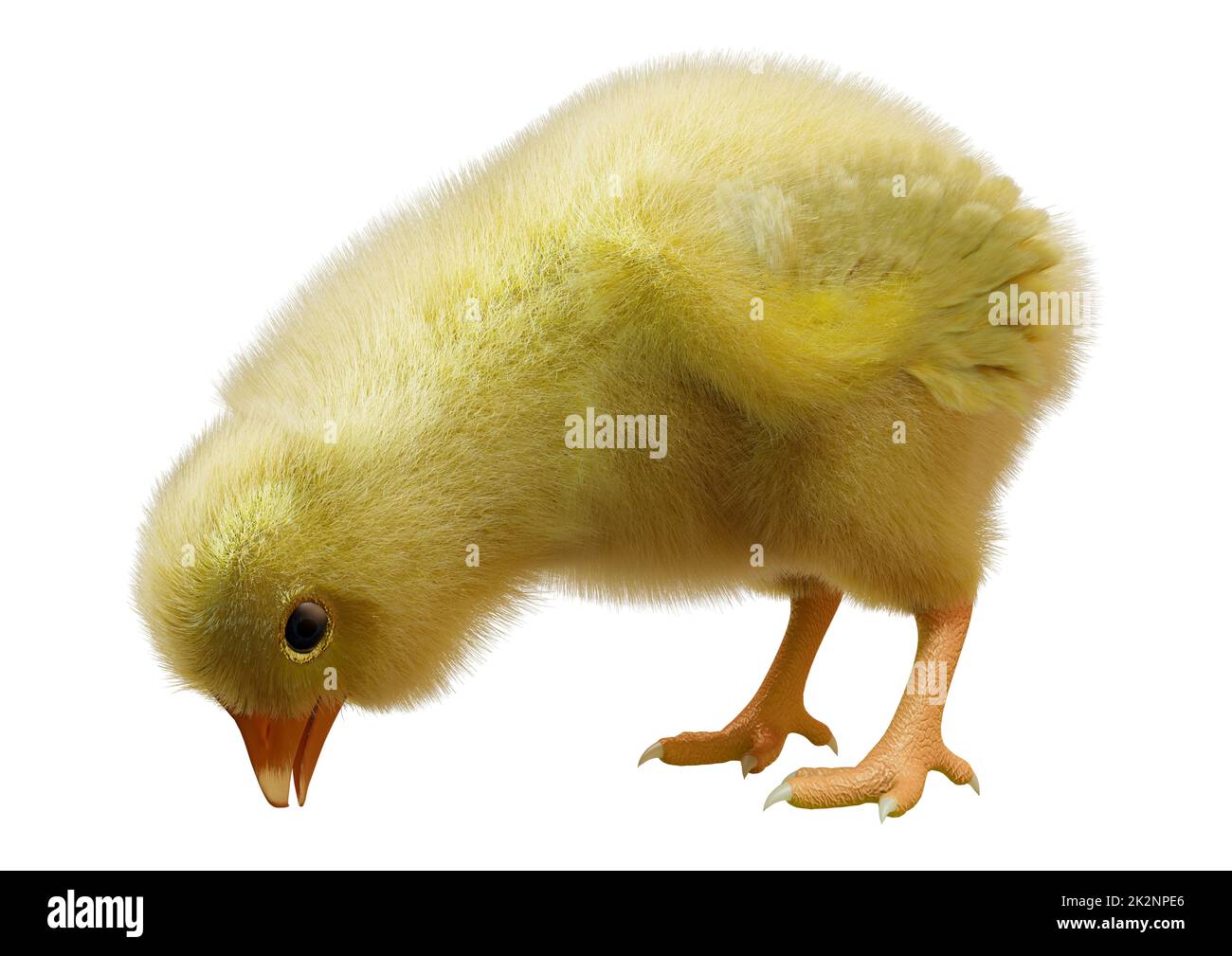 3D Rendering Easter Chick on White Stock Photo