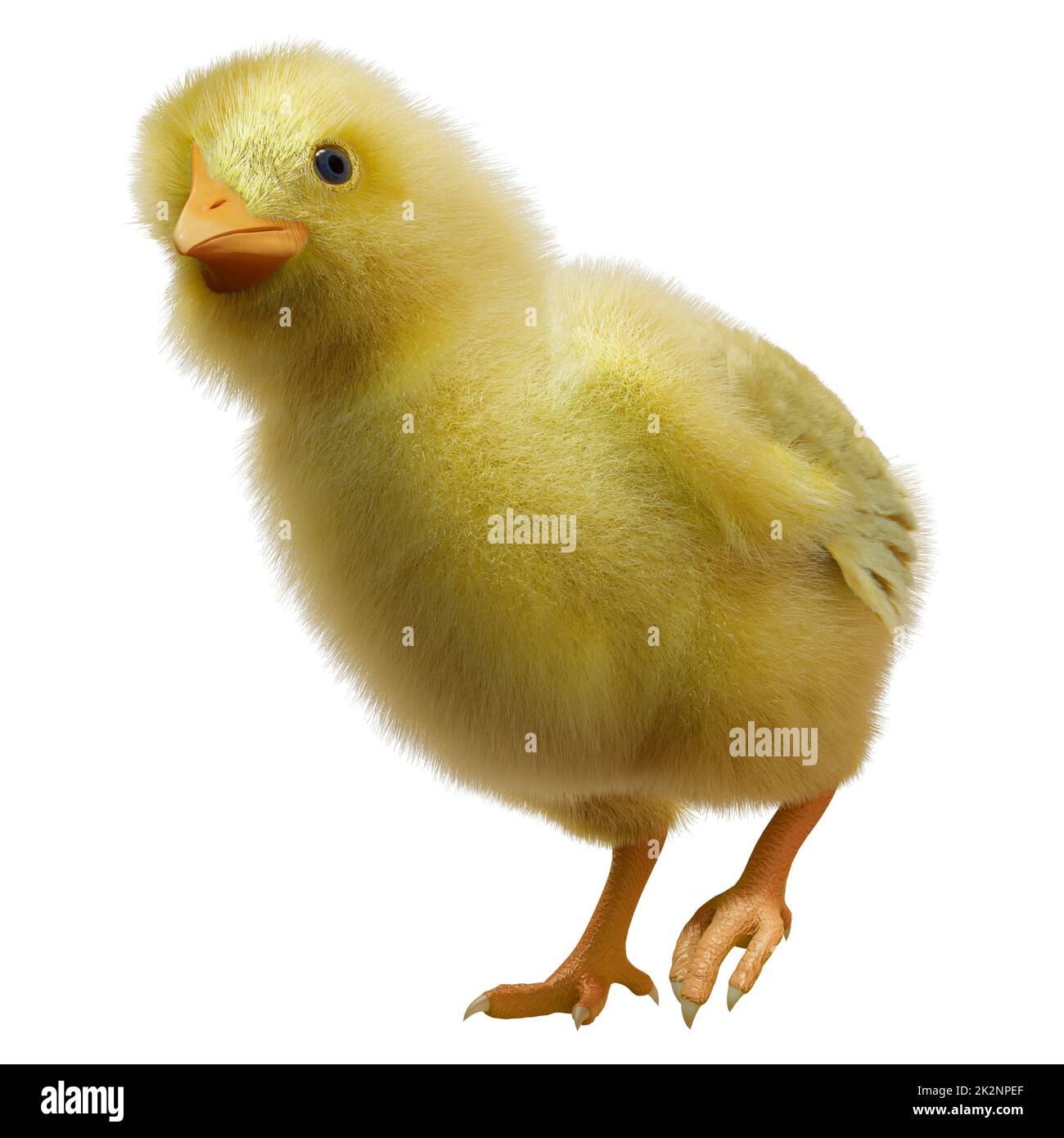 3D Rendering Easter Chick on White Stock Photo