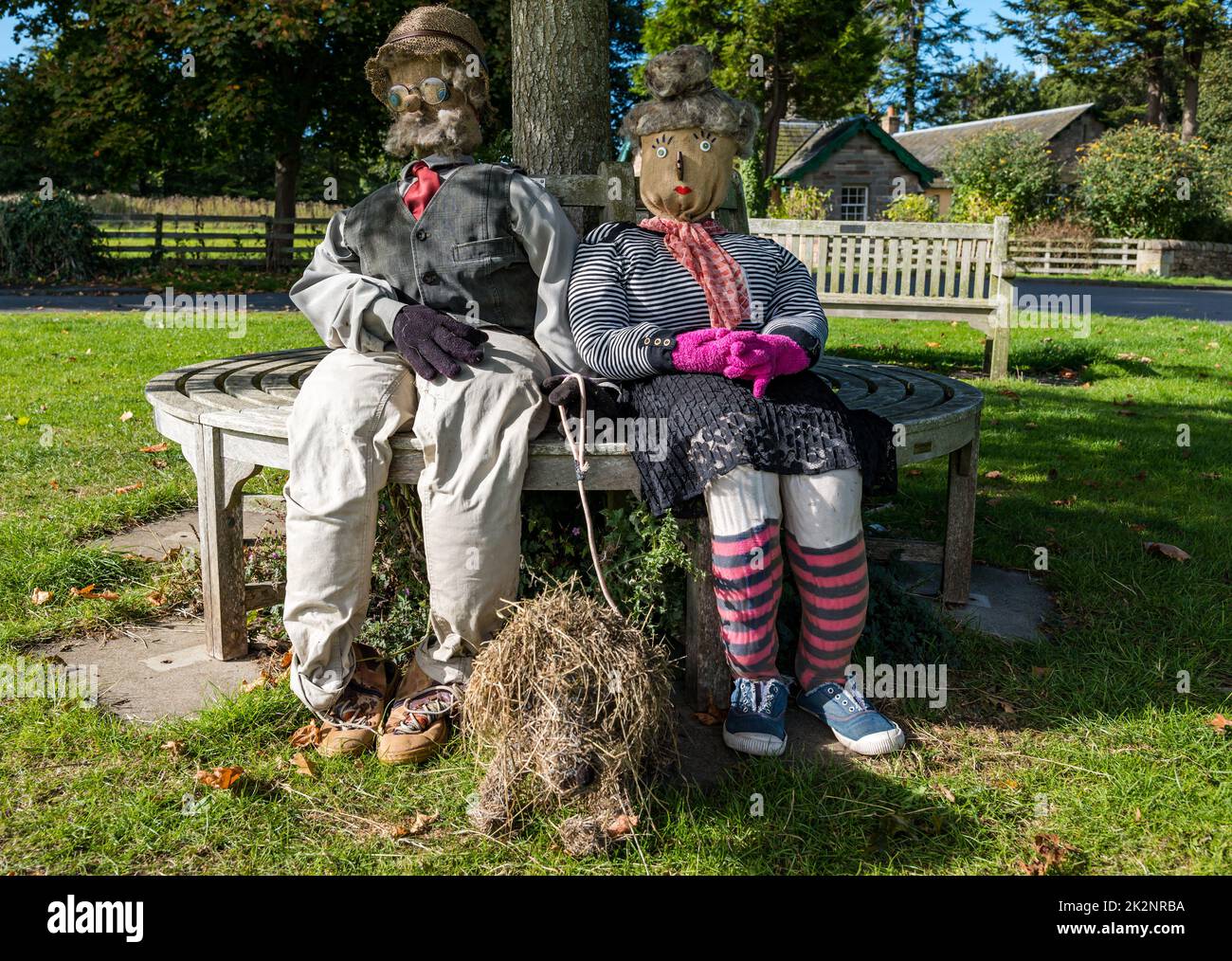 Dirleton, East Lothian, Scotland, UK, 23rd September 2022. Scarecrow Trail: the second trail this year has 18 scarecrows around the village at harvest time. Pictured: a fabulous scarecrow on the village green. Credit: Sally Anderson/Alamy Live News Stock Photo