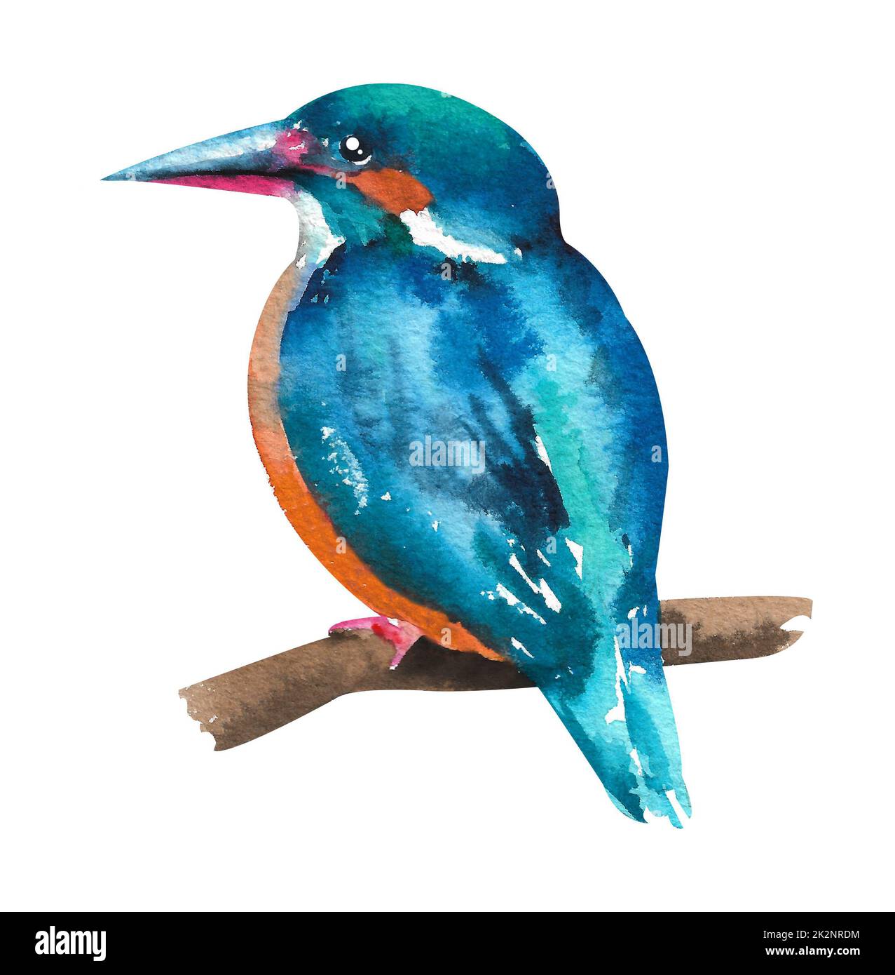 Watercolor kingfisher. A small kingfisher bird sits on a twig on a ...