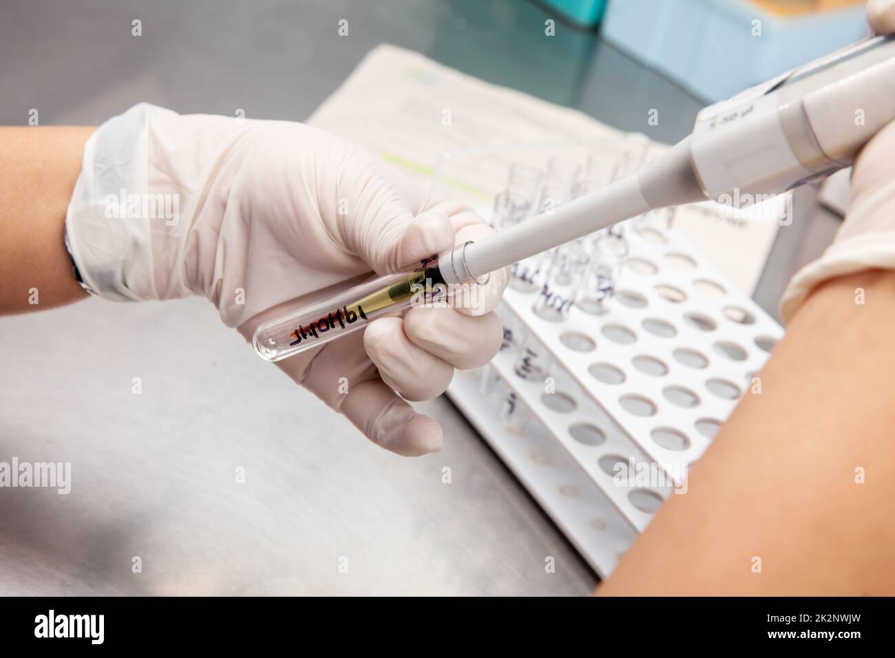 Scientist preparing samples for flow cytometric analysis in the laboratory. Cancer diagnosis Stock Photo