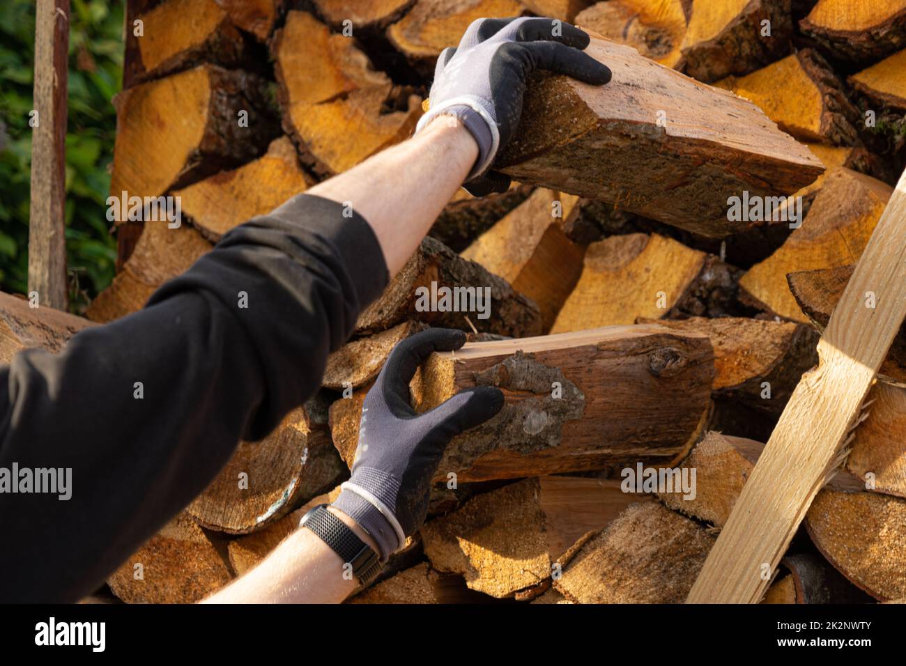 Heating with wood: Pulling out two logs from a winter stockpile of firewood Stock Photo