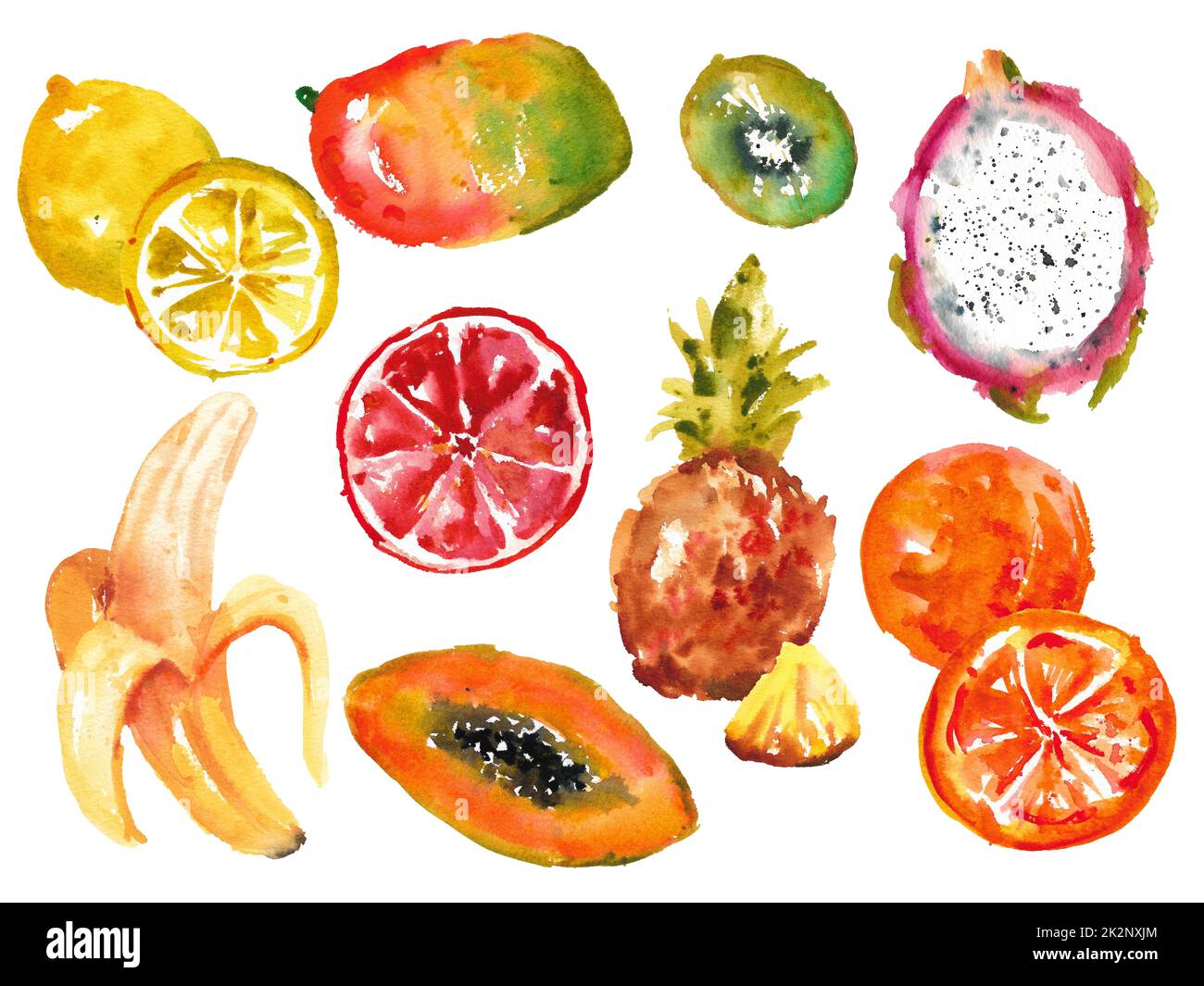 Watercolor collection of fruits. Various exotic fruits on a white ...