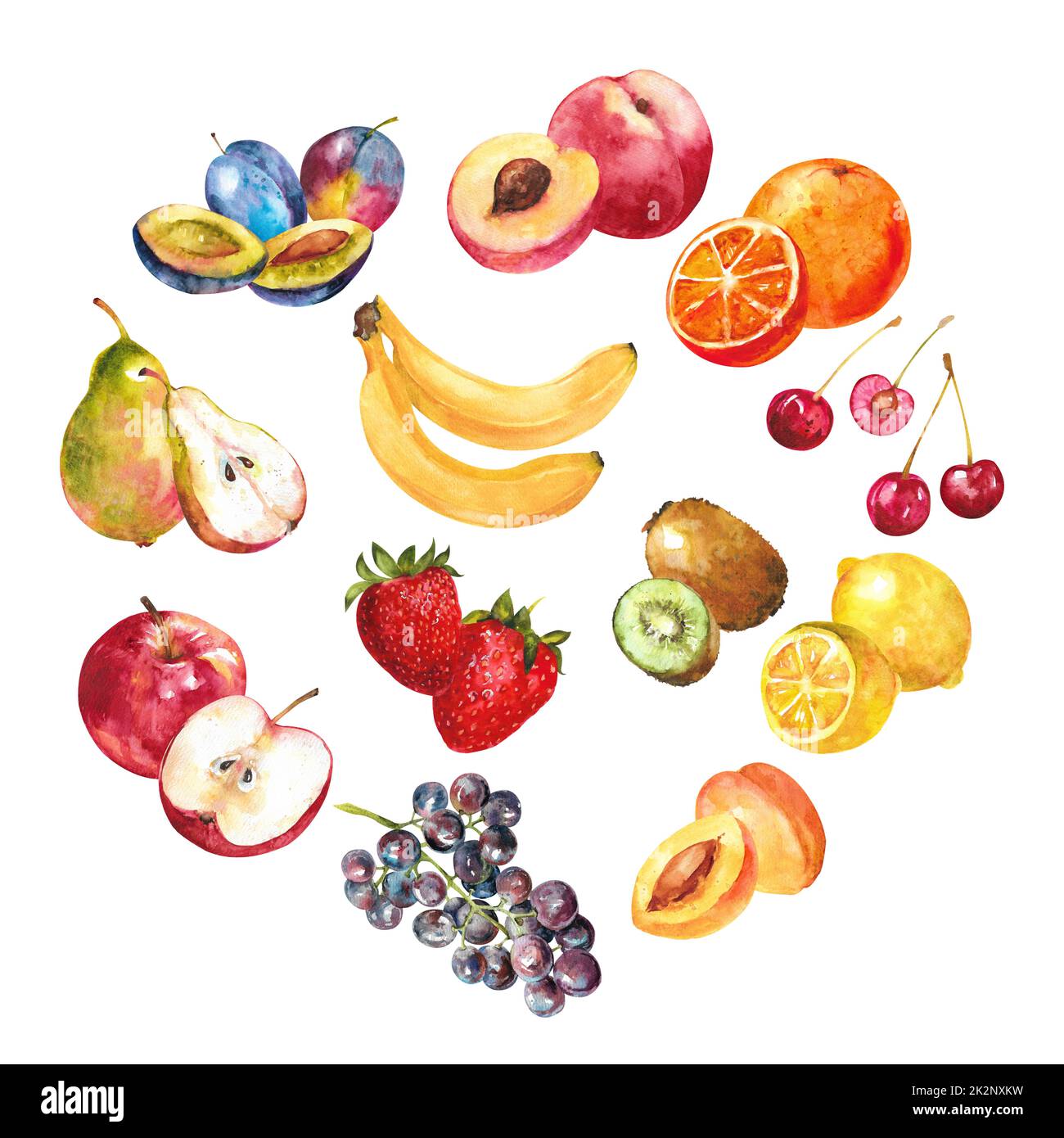 Watercolor Composition Of Various Fruits Fruit Circle Stock Photo Alamy Watercolor Composition Of Various Fruits Fruit Circle Stock Photo Alamy