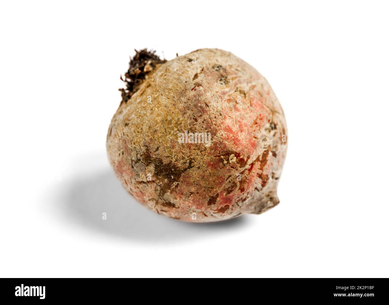 Beetroot isolated on a white background Stock Photo