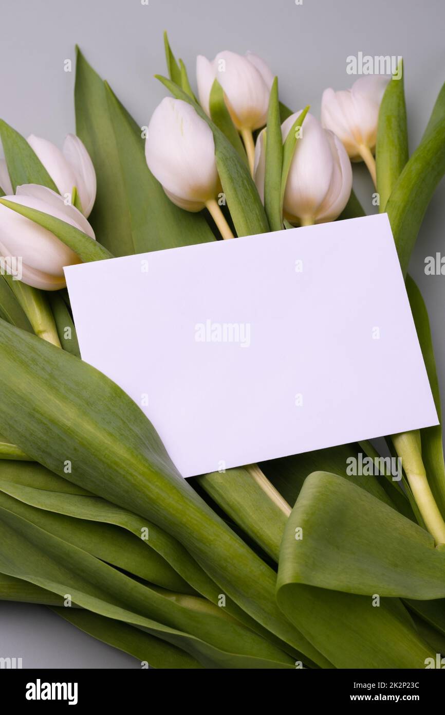 Blank card for congratulations or invitations. Mockup for holiday greetings. Stock Photo