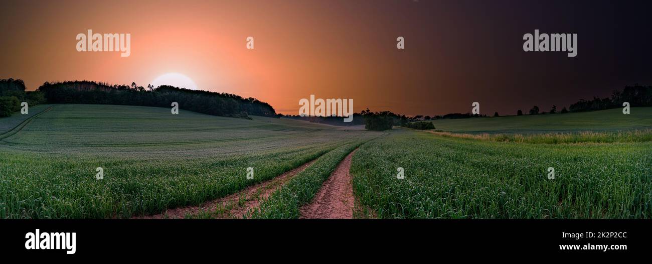 Country road in a green field during sunset or sunrise Stock Photo - Alamy
