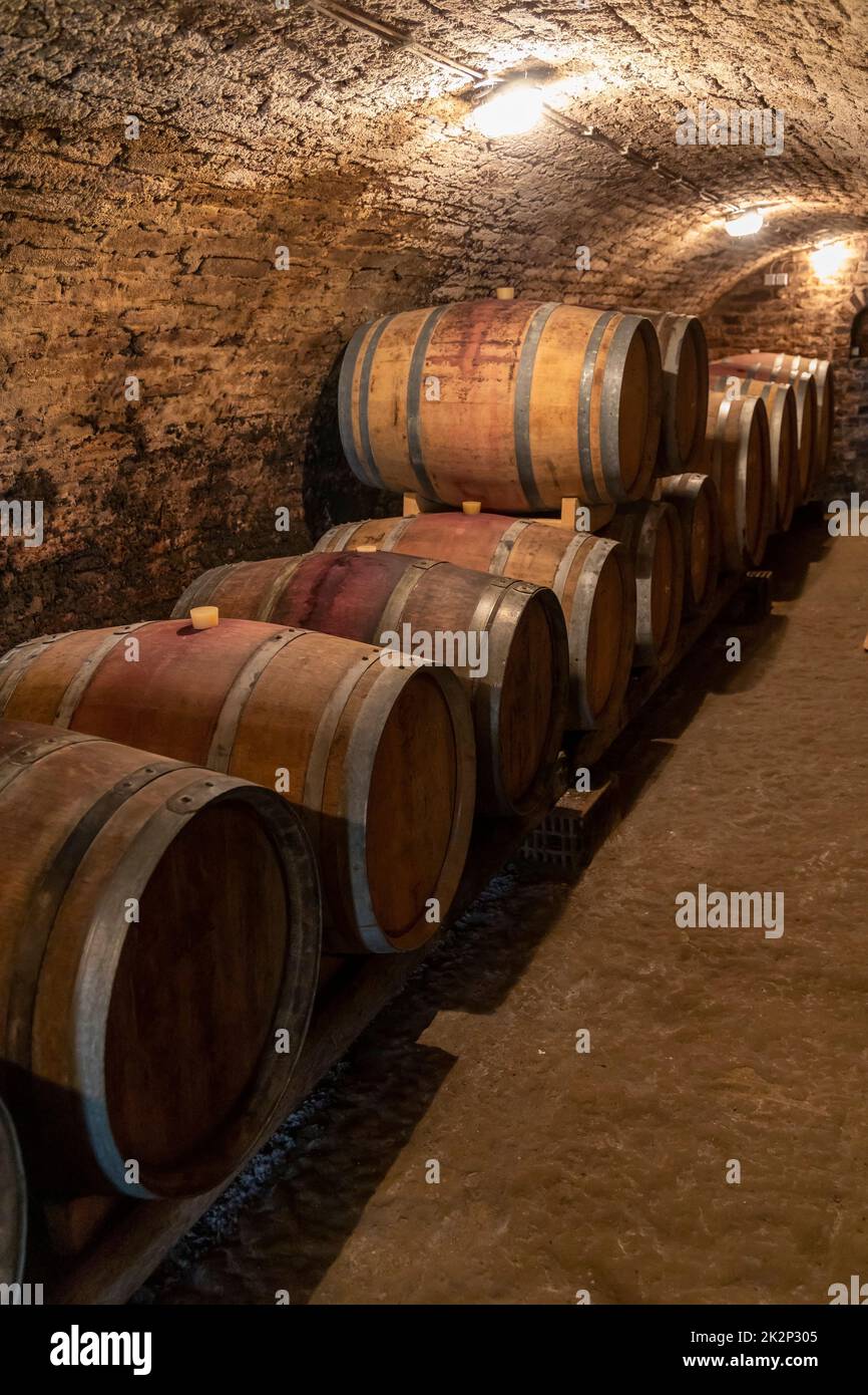 wine cellar with wooden barrels in Hajos, Southern Transdanubia,Hungary Stock Photo