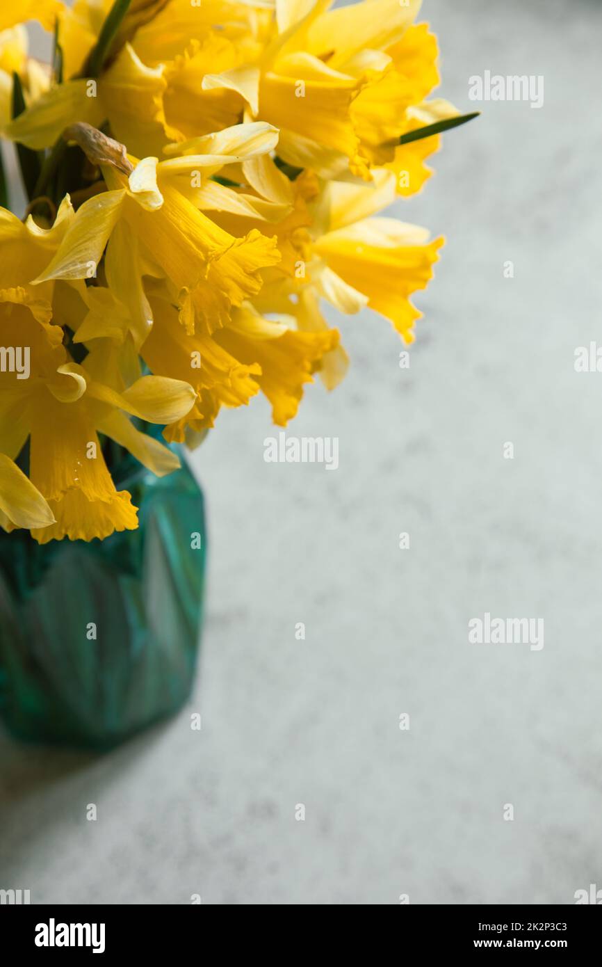 Amazing background with Yellow bouquet of daffodils in a vase on Stock ...