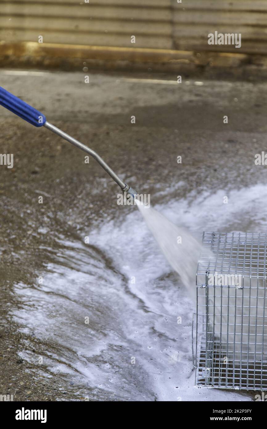 Pressure foam sprayer on car wash Stock Photo - Alamy