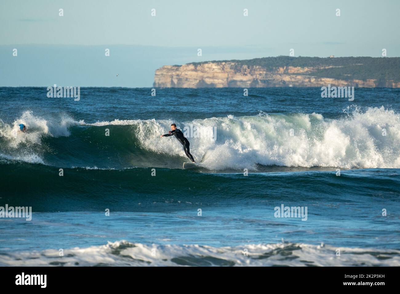 A surfer catching wave and doing turn wearing black wetsuit in morning ...
