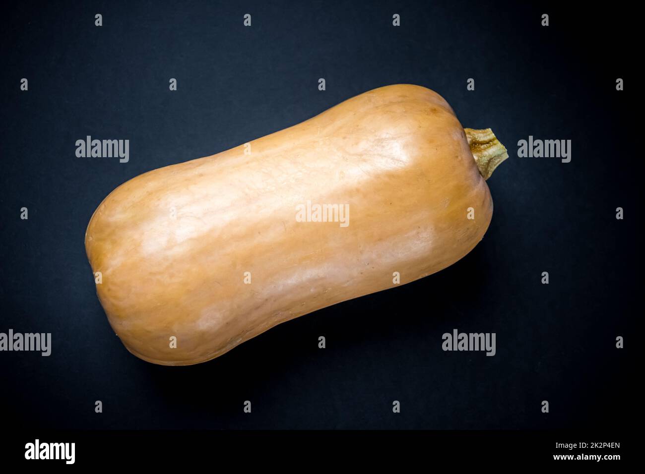Butternut squash isolated on black background Stock Photo