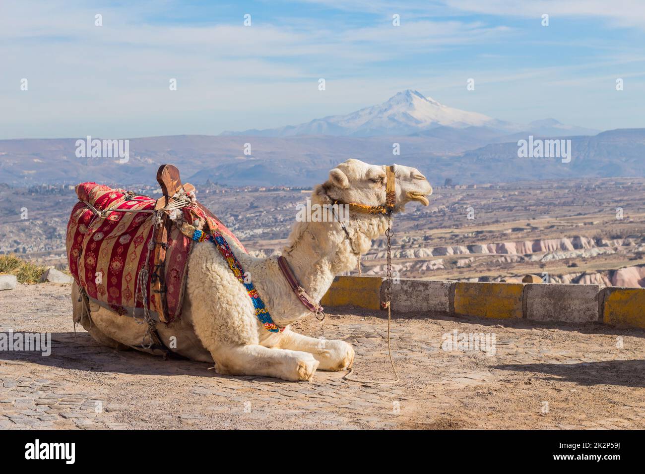 Camel in cappadocia hi res stock photography and images Alamy