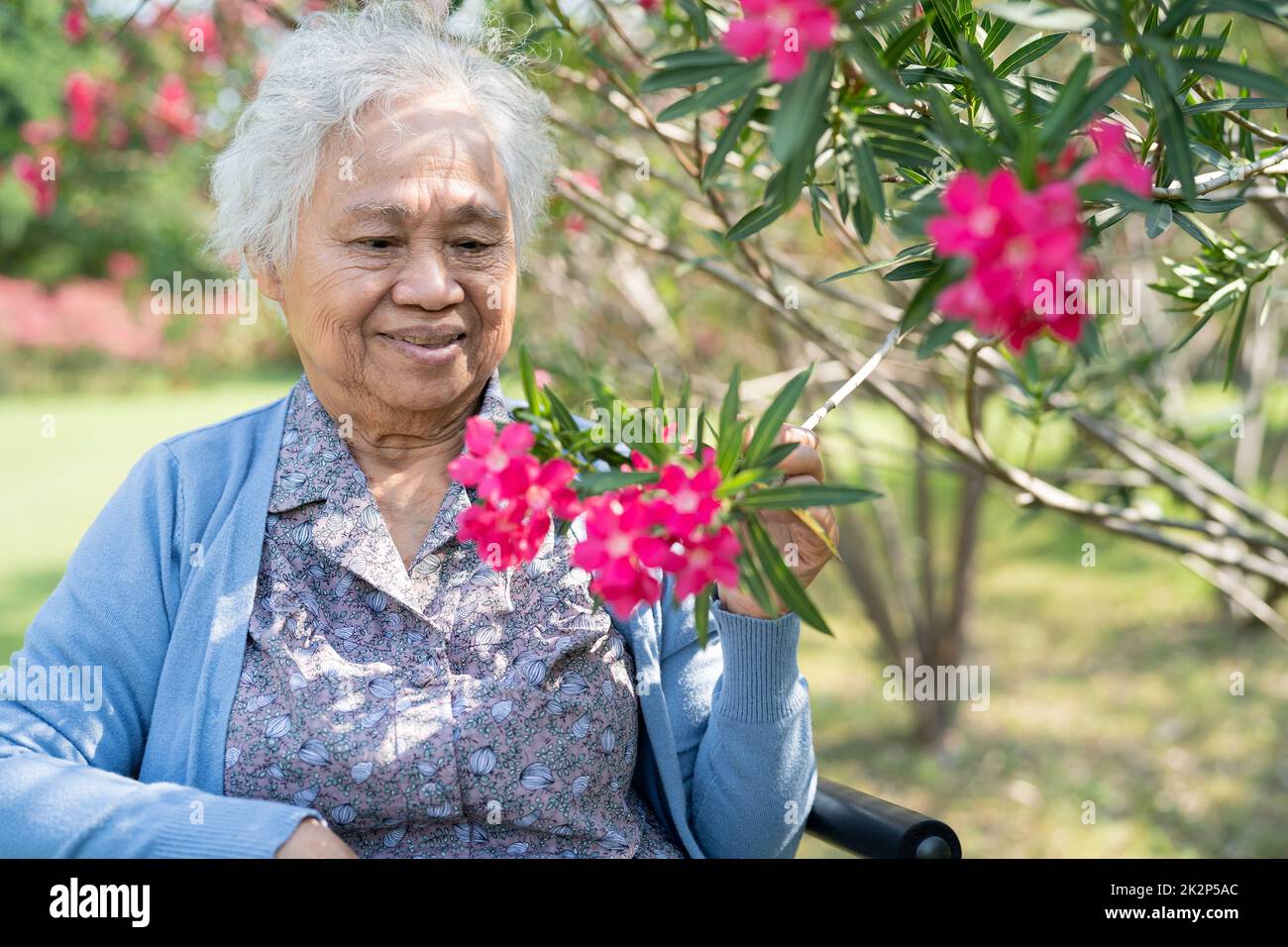 Asian senior or elderly old lady woman holding red flower, smile and happy in the sunny garden. Stock Photo