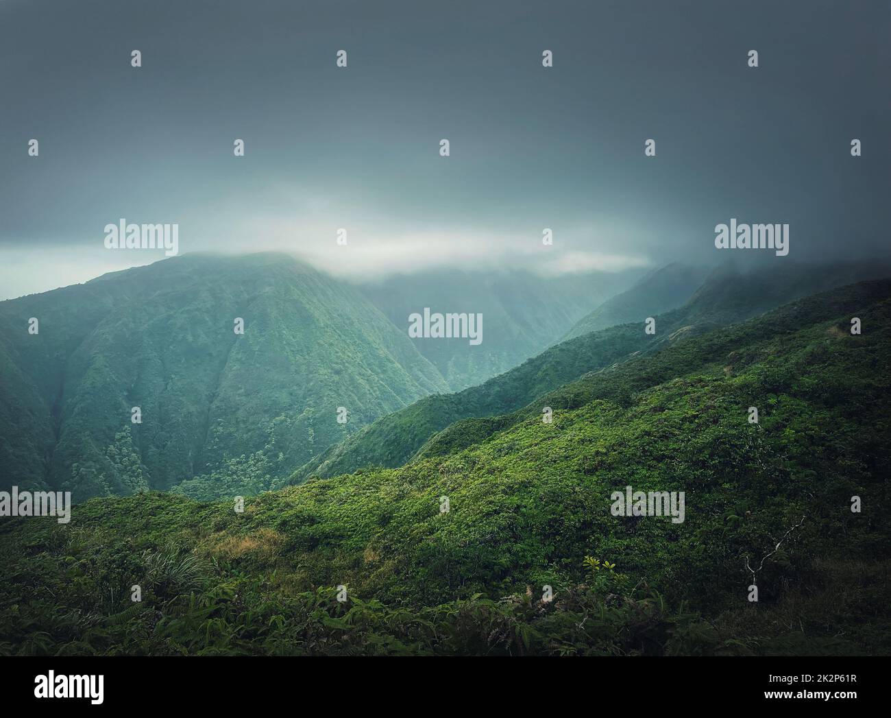 Beautiful view to the green hills in Hawaii, Oahu island. Hiking mountains landscape with vibrant tropical vegetation. Moody weather with foggy clouds over the valley Stock Photo