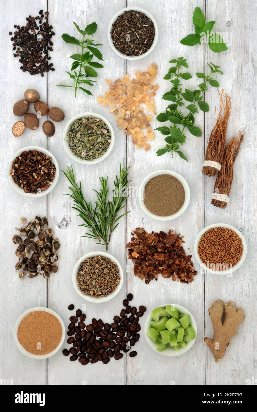 Nervine plant based food and herb collection. Heals and stimulates the nervous system. Healthy adaptogen natural alternative health care. Stock Photo