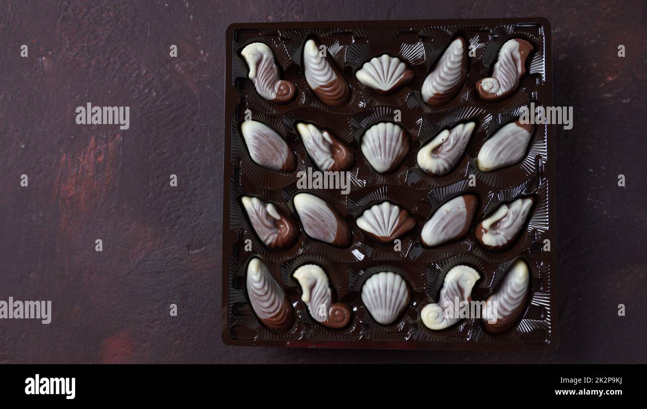 Belgian chocolate seashells hi-res stock photography and images - Alamy