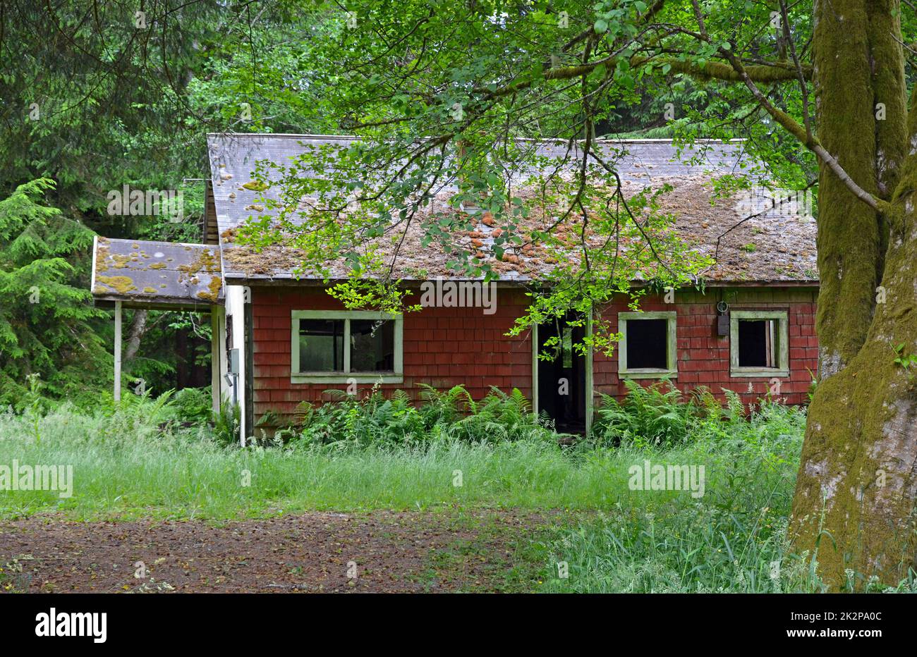 Old abandoned house Stock Photo - Alamy